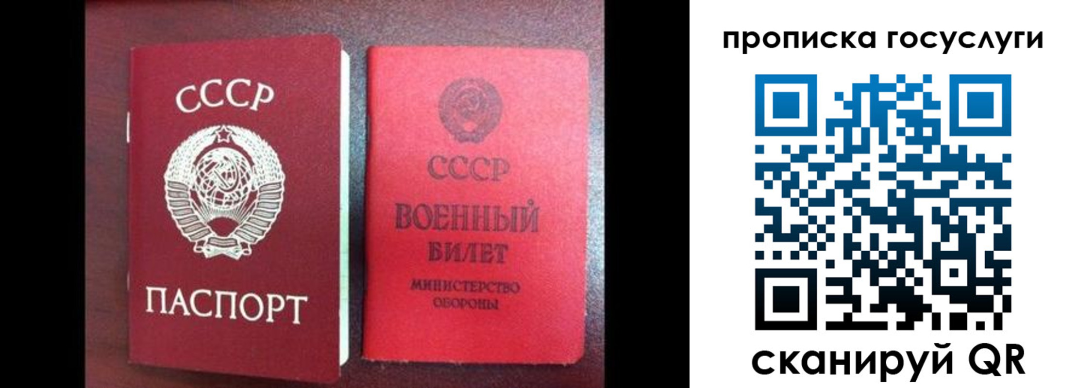 регистрация для школы в Светлогорске