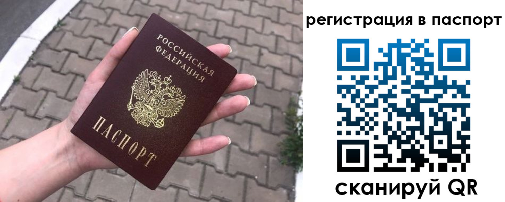 временная регистрация поиск в Светлогорске