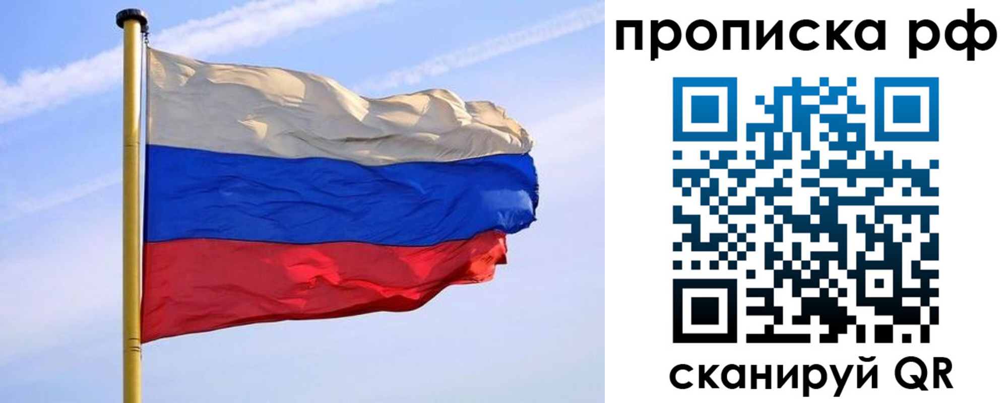 прописка от собственника в Светлогорске